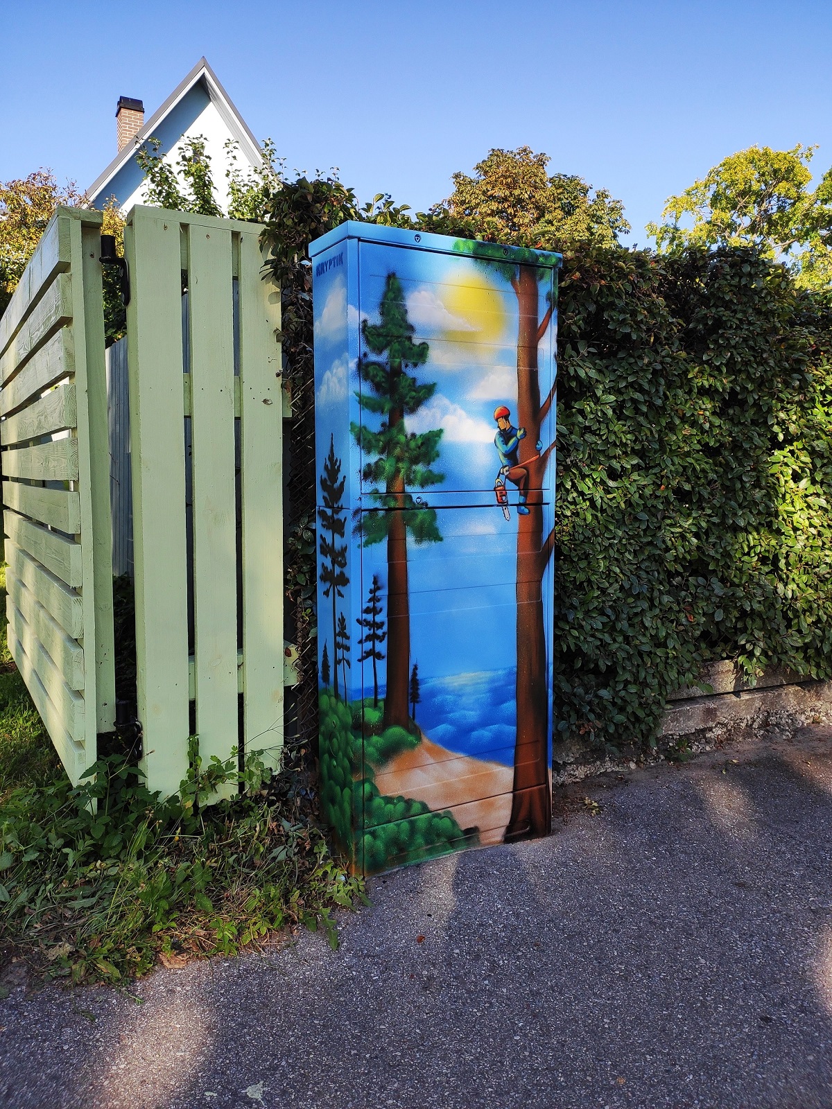 Looduse grafitimaaling elektrikapil