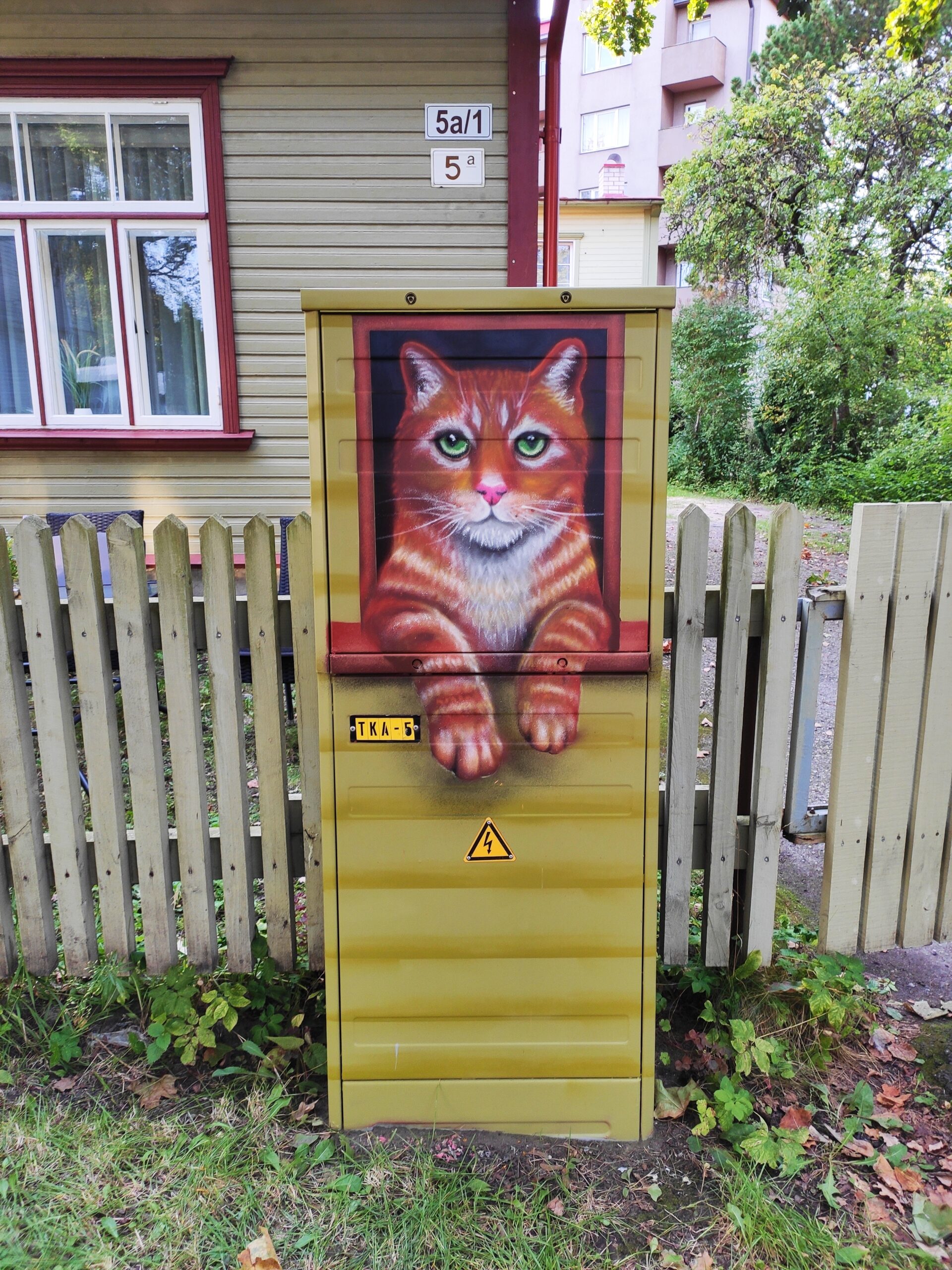 Kassi grafiti pilt elektrikilbil Pärnus