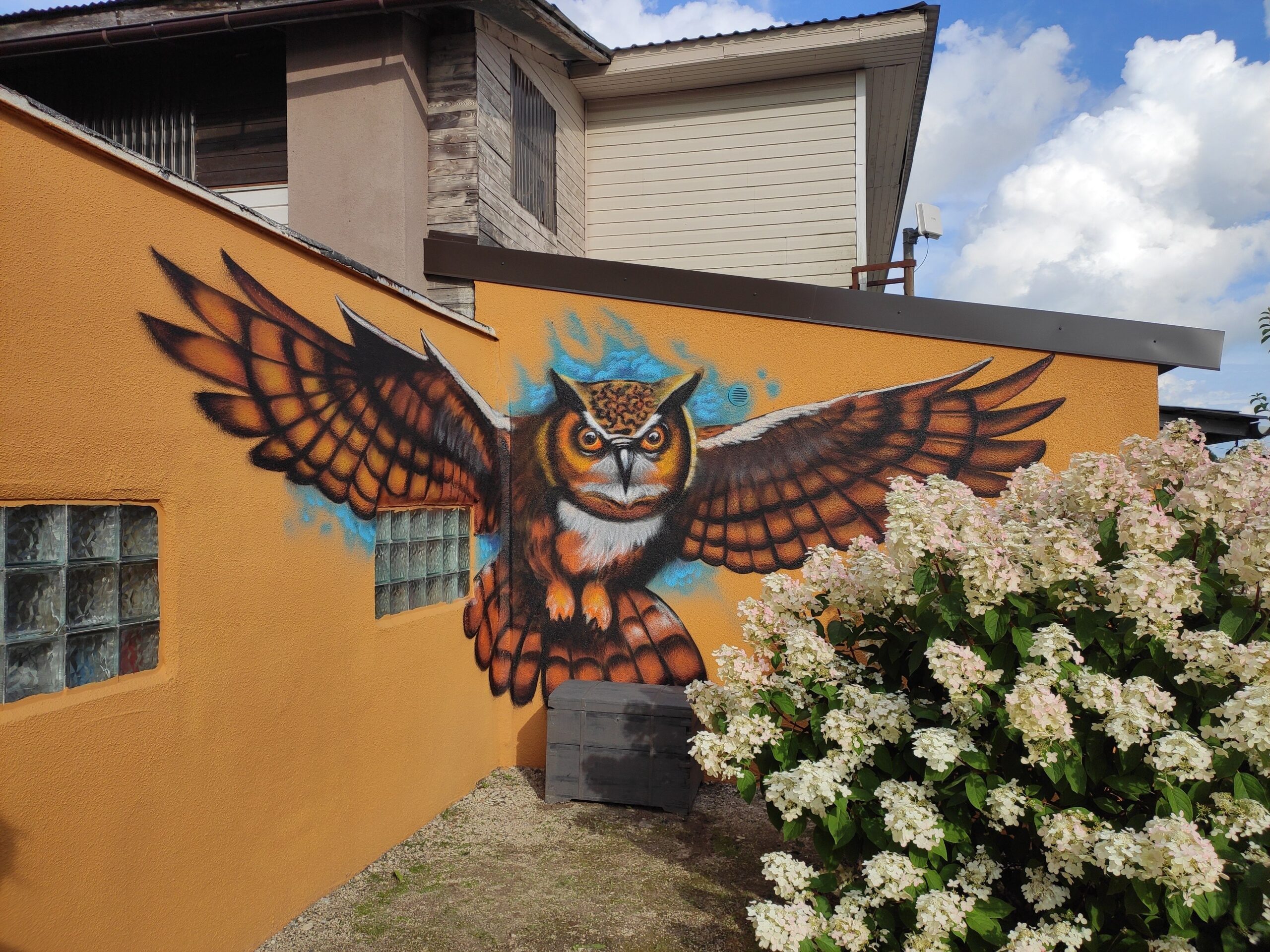 Öökulli maaling seinal